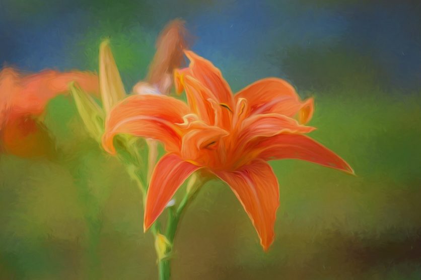 Blume Kunstdruck